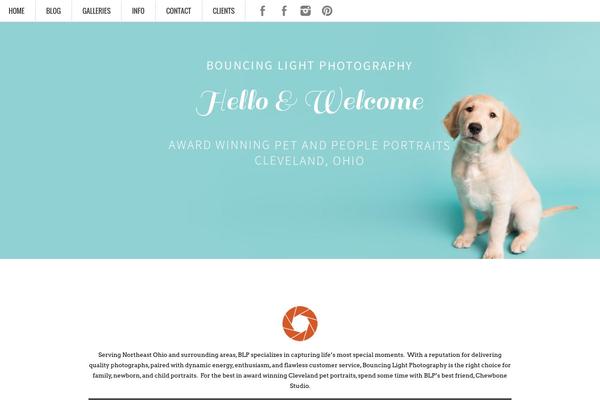 ProPhoto 5 theme site design template sample