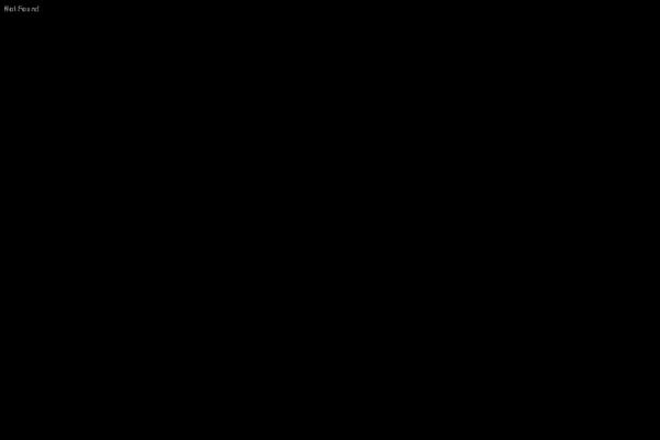 Site using Widgetkit plugin