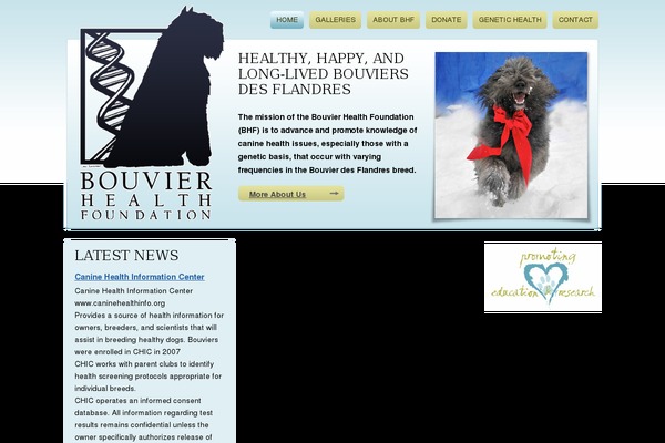 bouvierhealthfoundation.org site used Bouvier