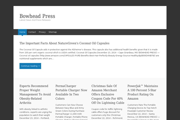 WordPress website example screenshot