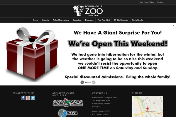 Enfold theme site design template sample