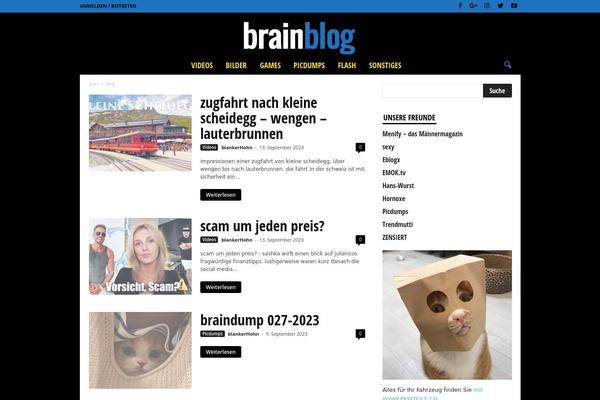 brainblog.net site used NewsMag