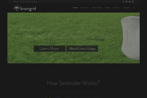 braingrid.org site used Braingrid