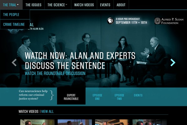 brainsontrial.com site used Brainstheme