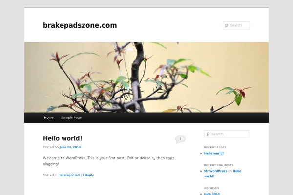brakepadszone.com site used Twenty Eleven