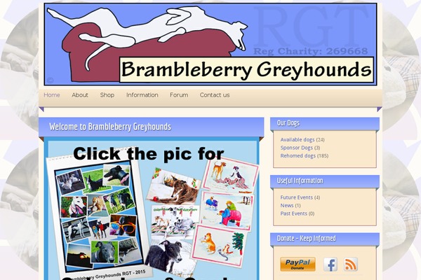 brambleberry-greyhounds.co.uk site used Bramble2013