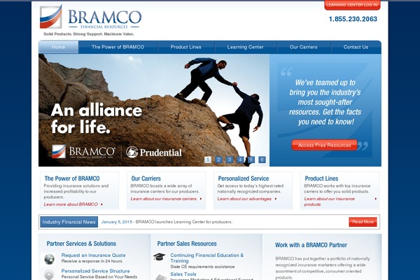 bramco theme websites examples