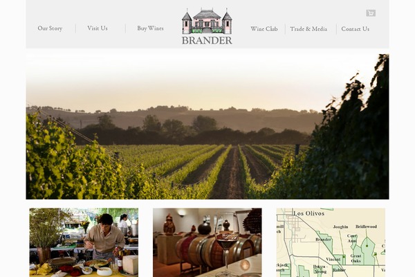 brander theme websites examples