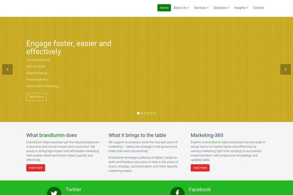 brandlumin.com site used Brandlumin