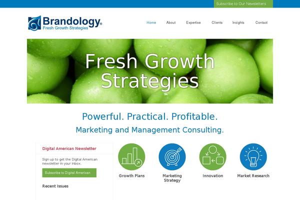 brandology.com site used Brandology-theme-15