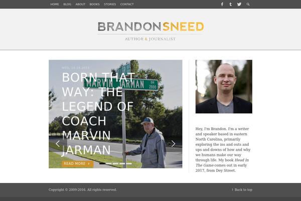brandonsneed.com site used Theblogger-child