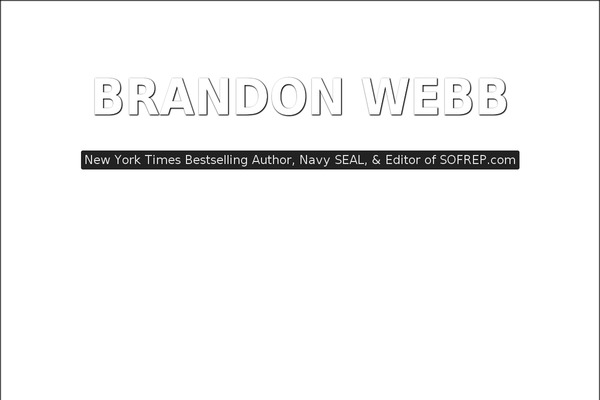 Brandon theme site design template sample