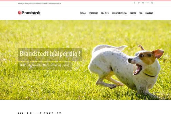 Site using Arscode-ninja-popups plugin
