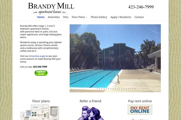 Divi theme site design template sample