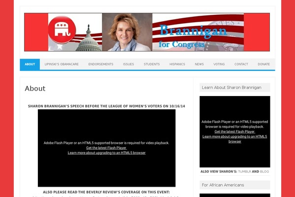 Iconic One theme site design template sample