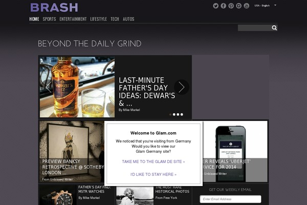 brash theme websites examples