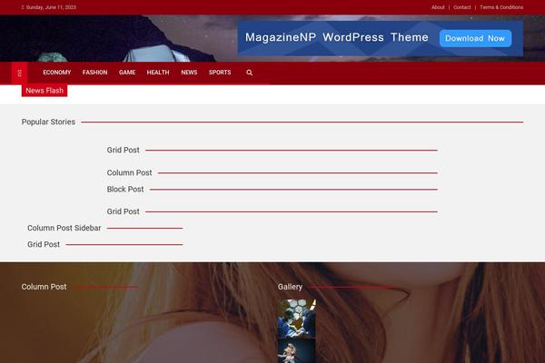 Magazineplus theme site design template sample