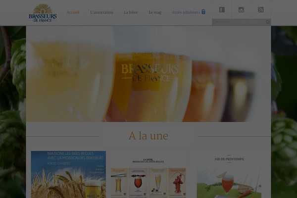 brasseurs-de-france.com site used Brasseurs