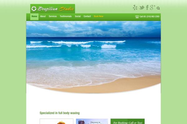 brazilianstudio.com site used Brazillianstudio