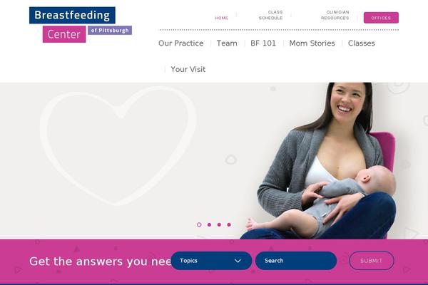 breastfeedingcenterofpittsburgh.com site used Breastfeedingcenter