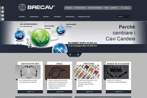 Site using Category Posts Widget plugin