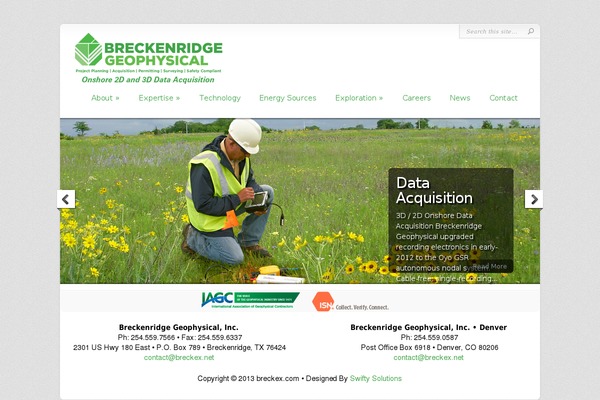 Chameleon theme site design template sample