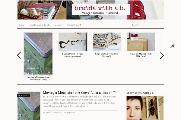 breidawithab.com site used Edmin