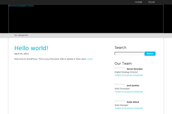 Twenty Sixteen theme site design template sample