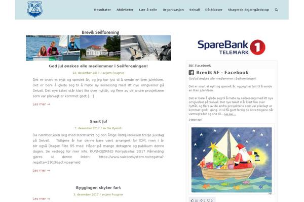 Site using Custom-facebook-feed-pro plugin