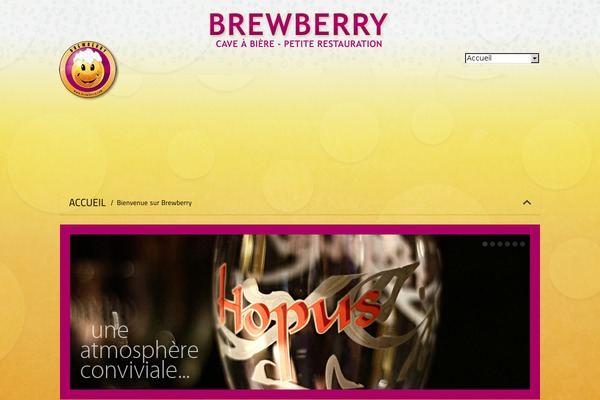 brewberry.fr site used Brewberry-v1