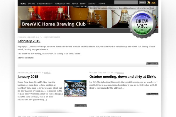 Vina theme site design template sample