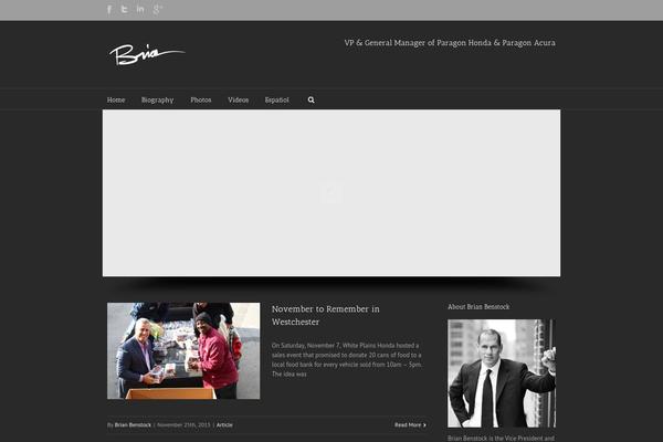 WordPress website example screenshot