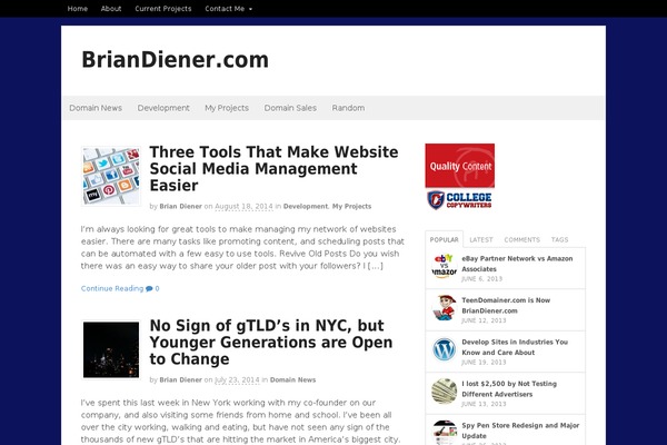 WordPress website example screenshot