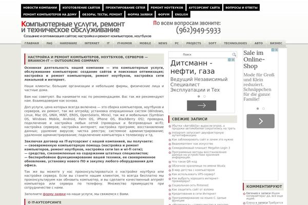 brianich.ru site used Neste