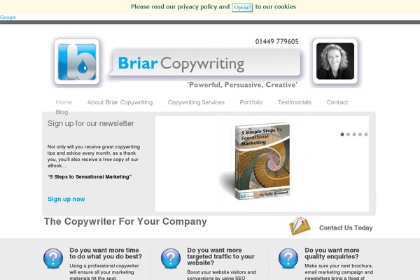 briarcopywriting.com site used Briarcopywriting