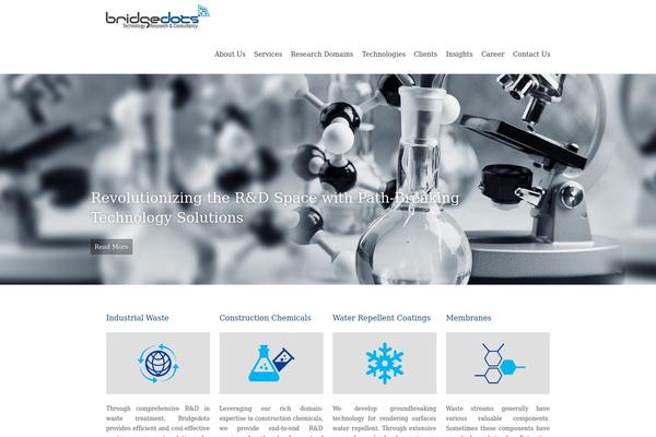 bridgedots.com site used Bridgedot_new