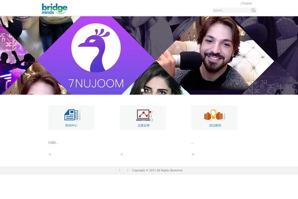 bridgeminds.com site used Bridgeminds