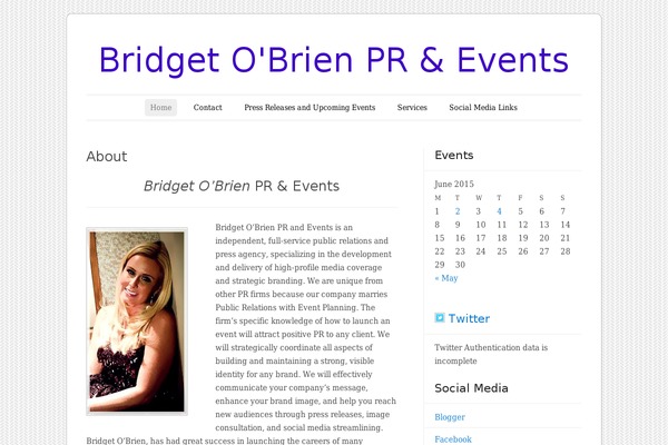 bridget theme websites examples