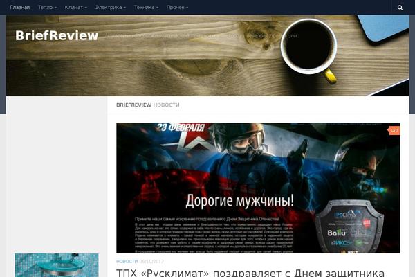 briefreview.ru site used Meganews