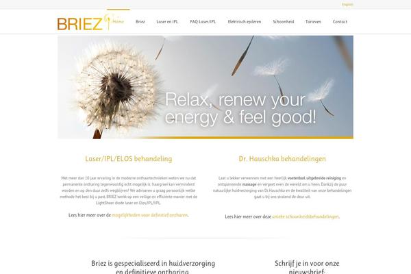 briez.nl site used Lounge