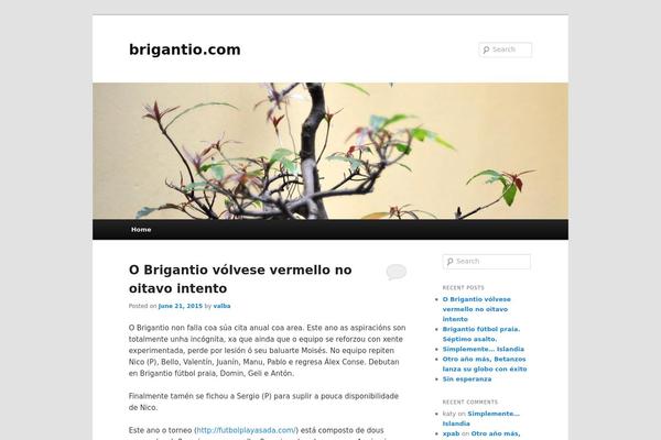 Twenty Eleven theme site design template sample