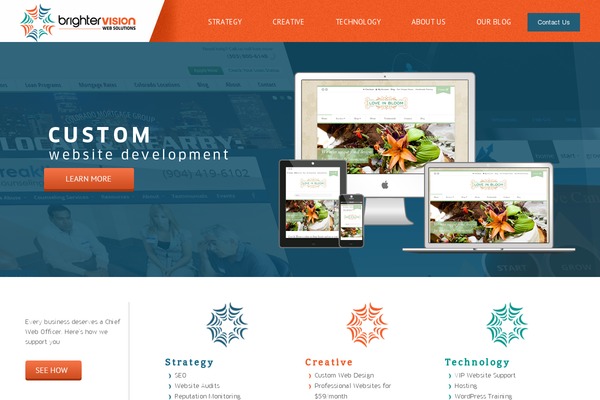 brightervision theme websites examples