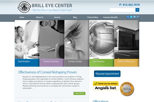 brilleye.com site used Brill-redesign
