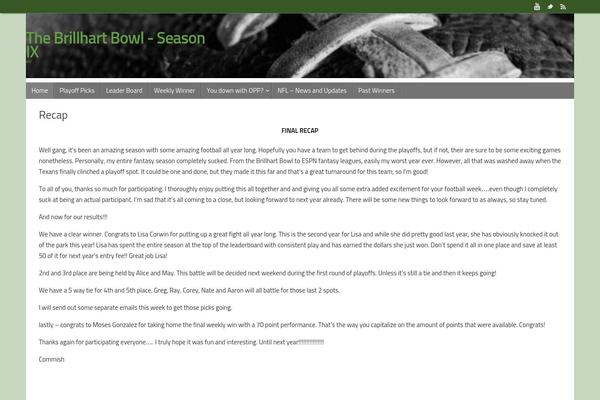 WordPress website example screenshot