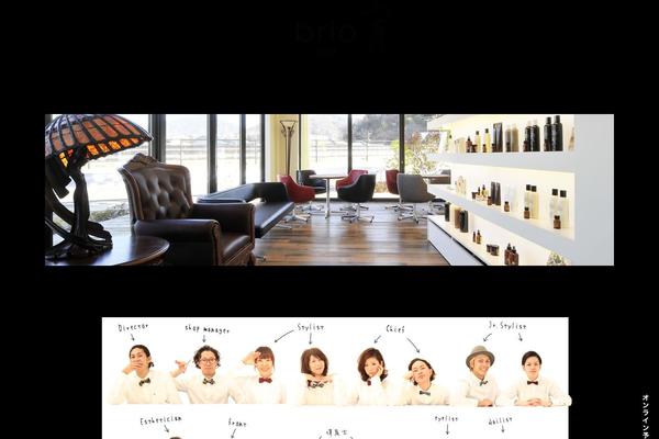 brio-hair.com site used Brio-hair