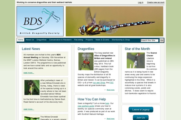 Bds theme site design template sample