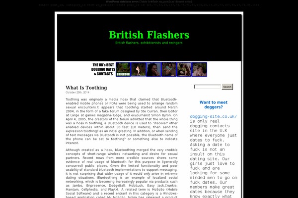 britishflashers.co.uk site used LimeasyBlog