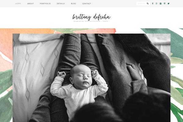 ProPhoto 5 theme site design template sample