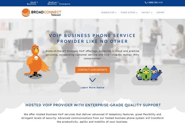 broadconnectusa.com site used Clean-blocks