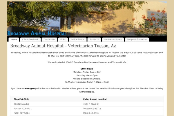 WordPress website example screenshot